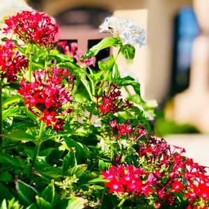 Meet your Posher, Kelly marie